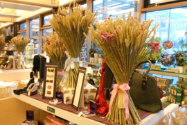 'Dried Natural Flowers' | © The Botanics' Shop